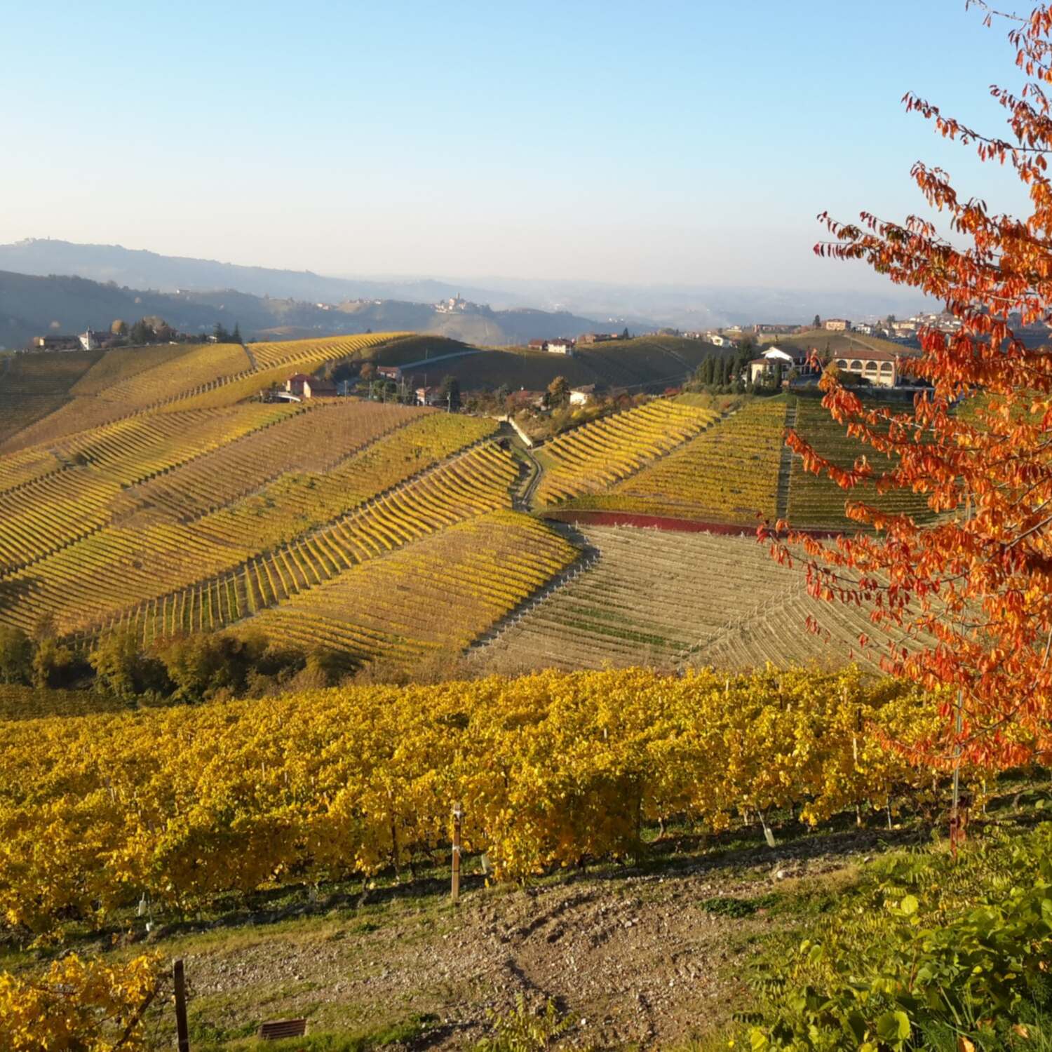 Autunno nelle Langhe