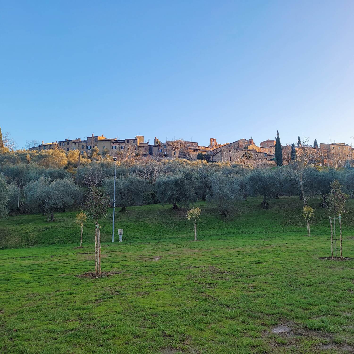 Lucignano