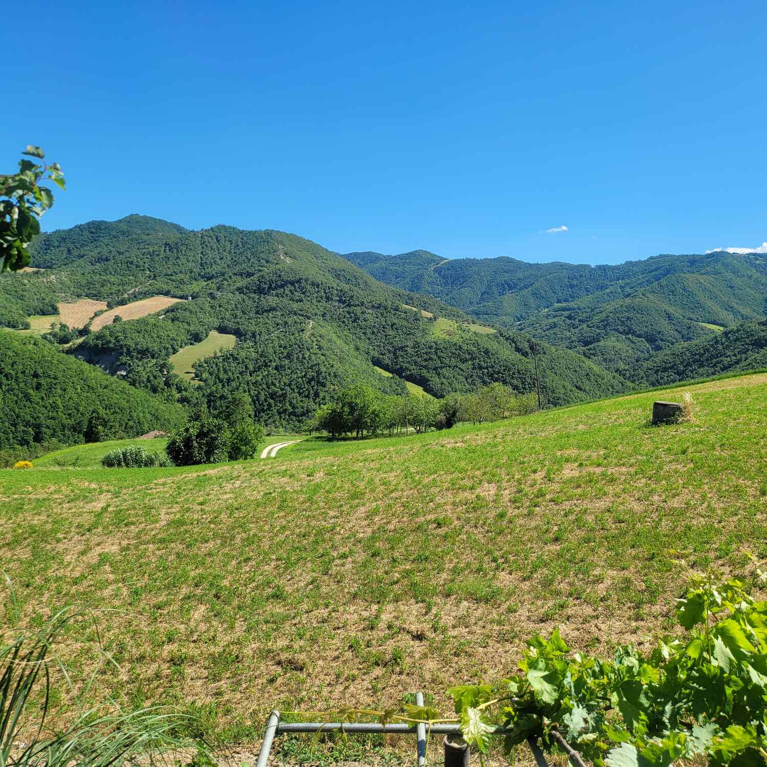 Weekend Romagnolo