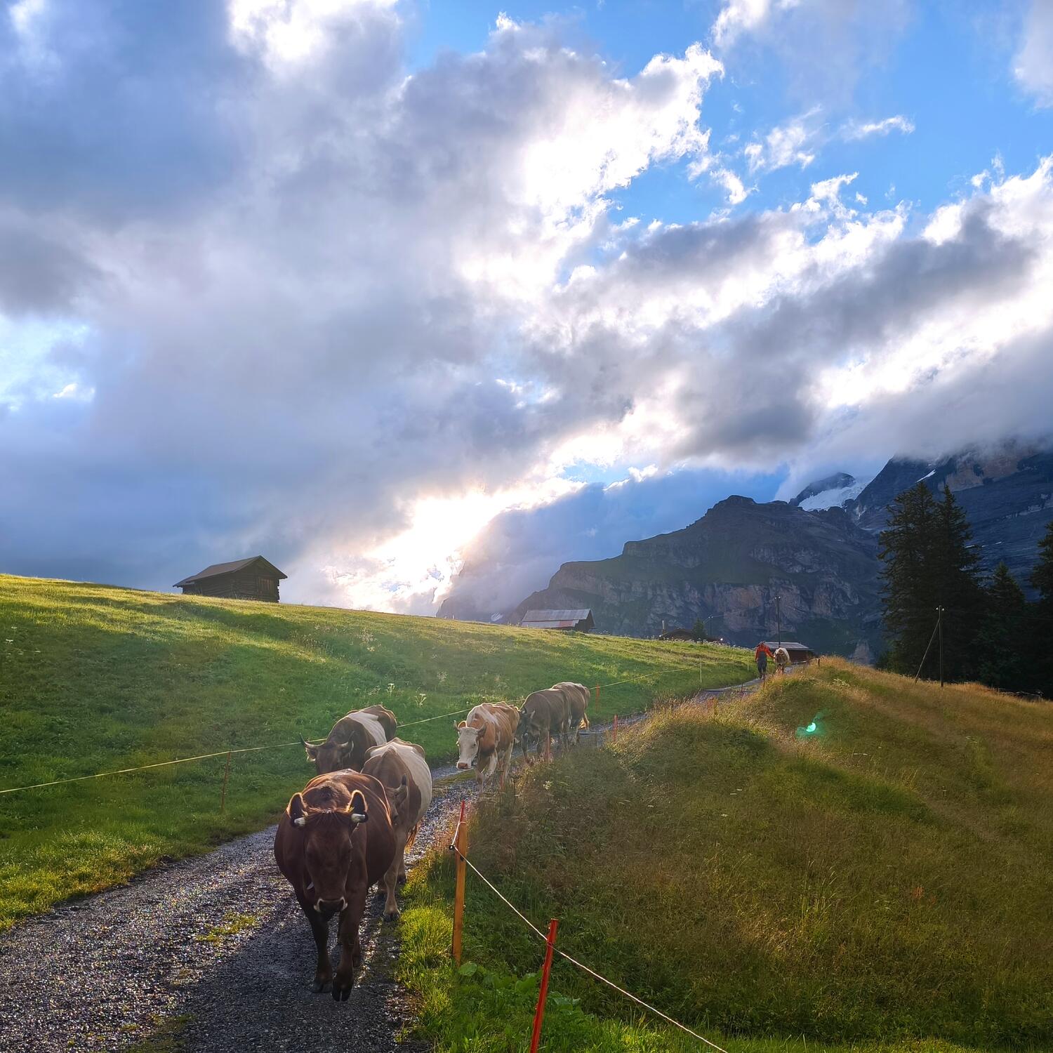 Bergeinsatz in der Schweiz