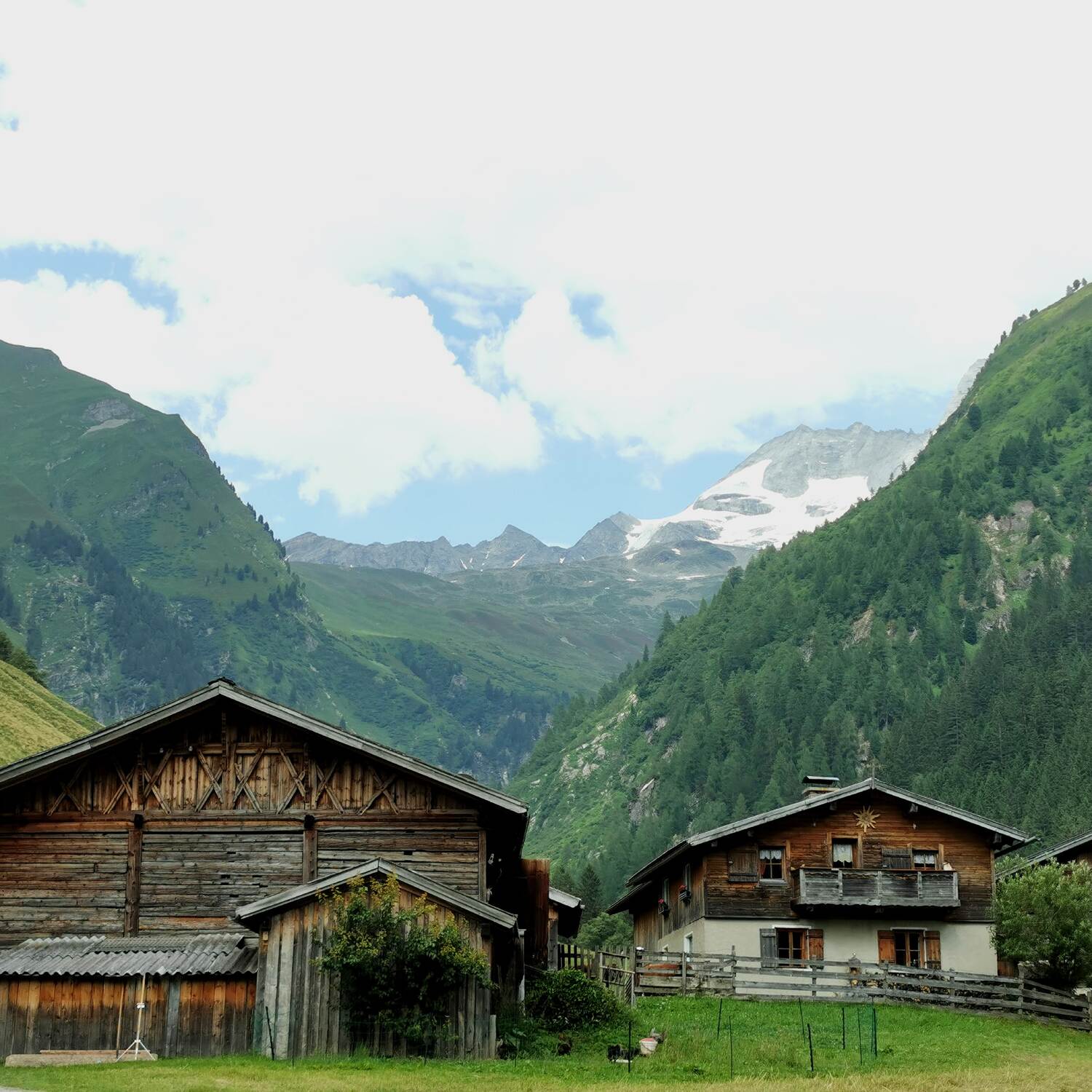 Schule der Alm im Wipptal