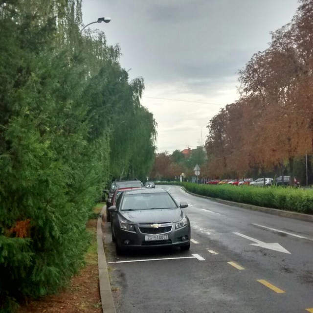 Erasmus u Zagrebu