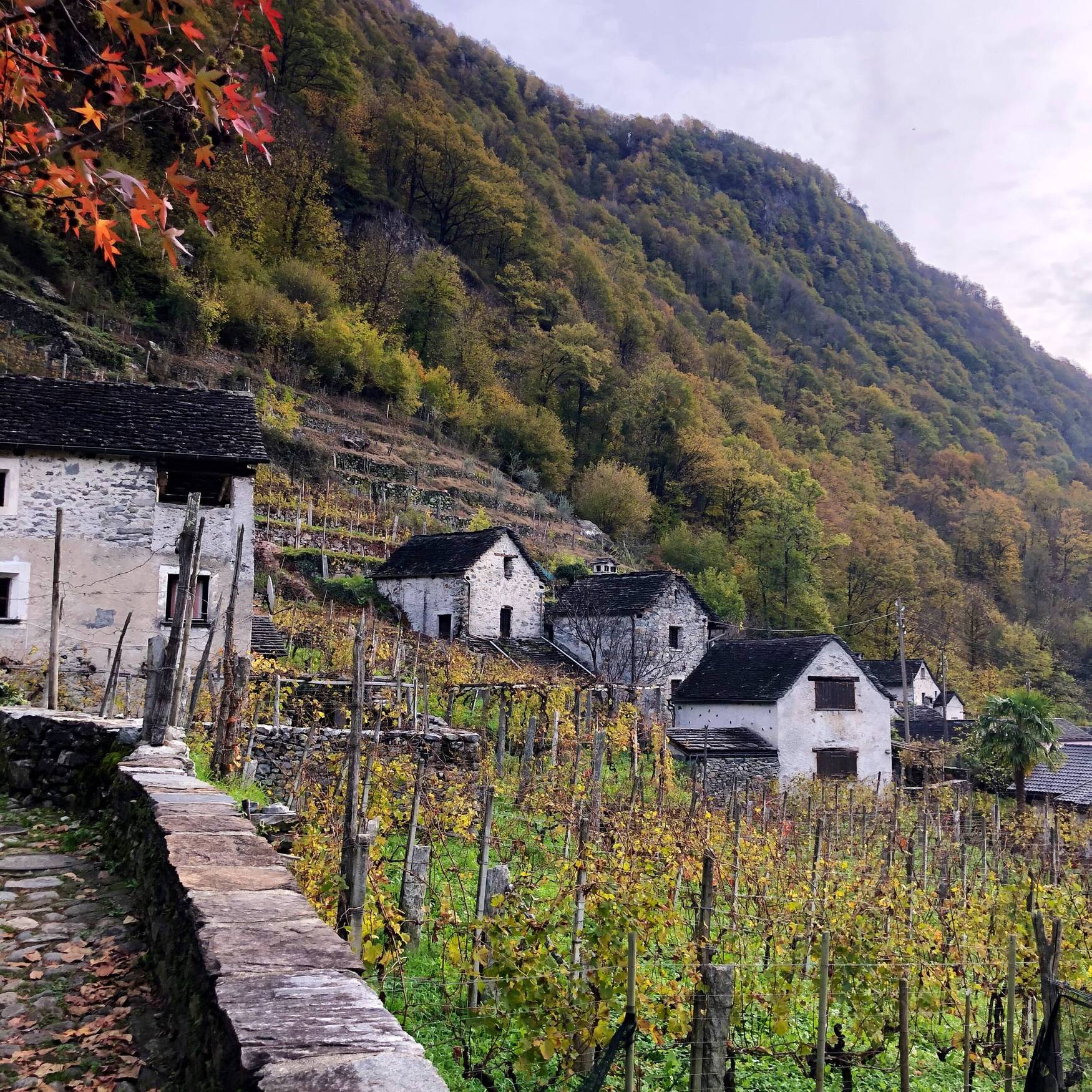 Tessin