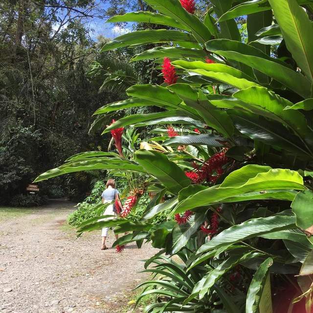 Panama und Costa Rica