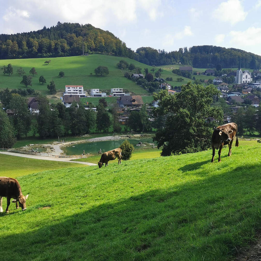 Herbstferien in der Schweiz
