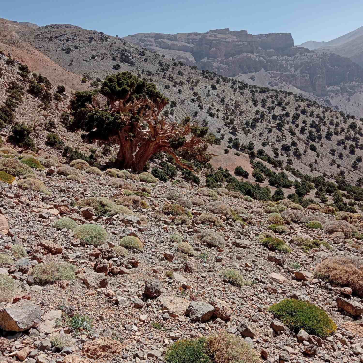 Morocco High Atlas Hiking