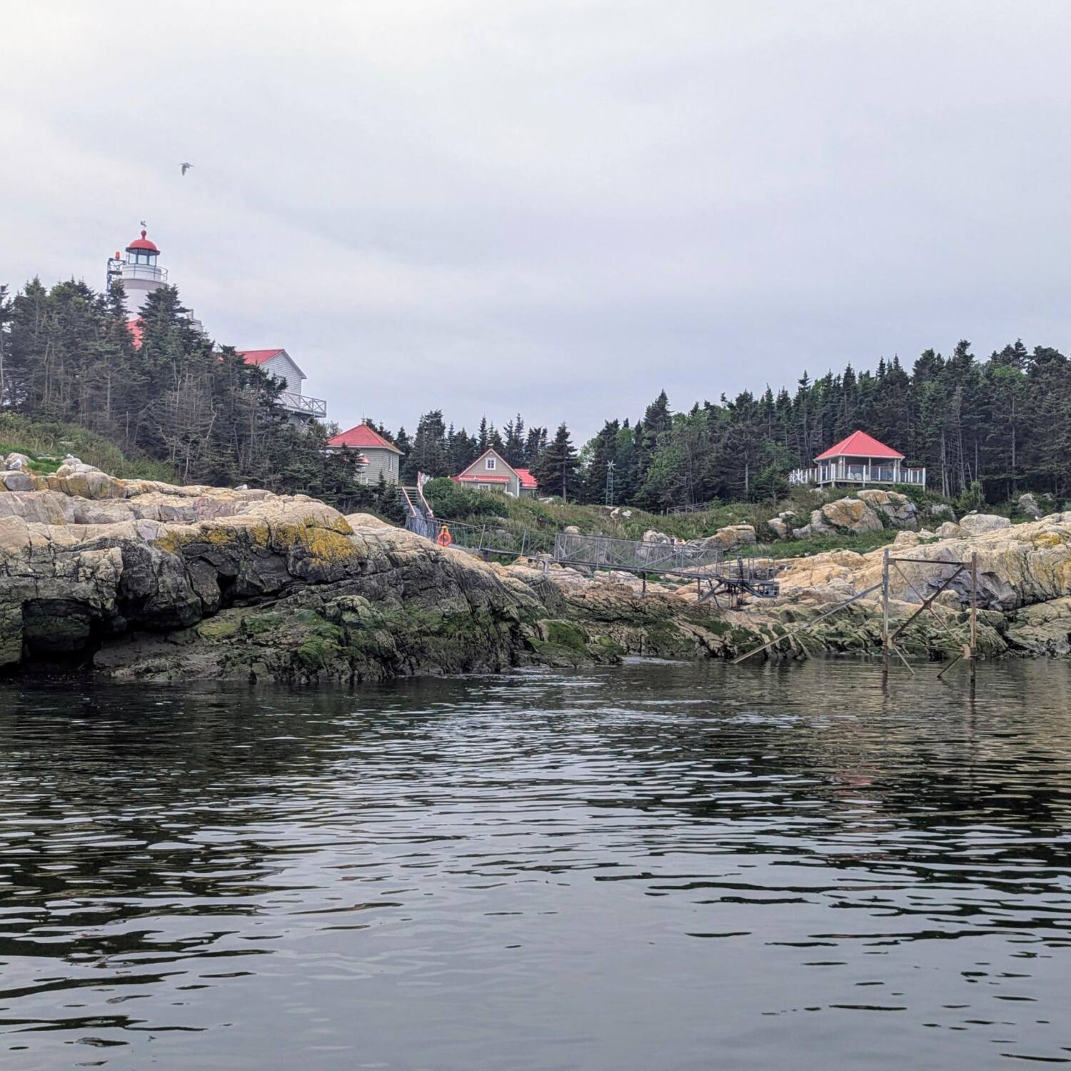 Île aux Lièvres 2025