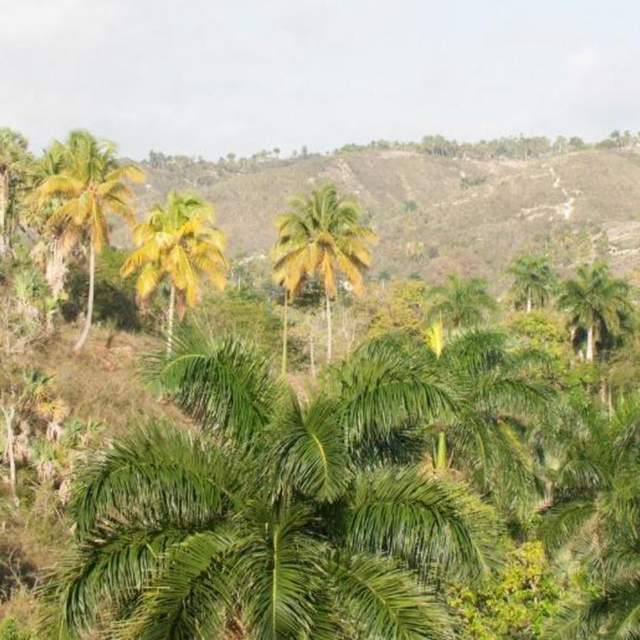 Haïti 2014