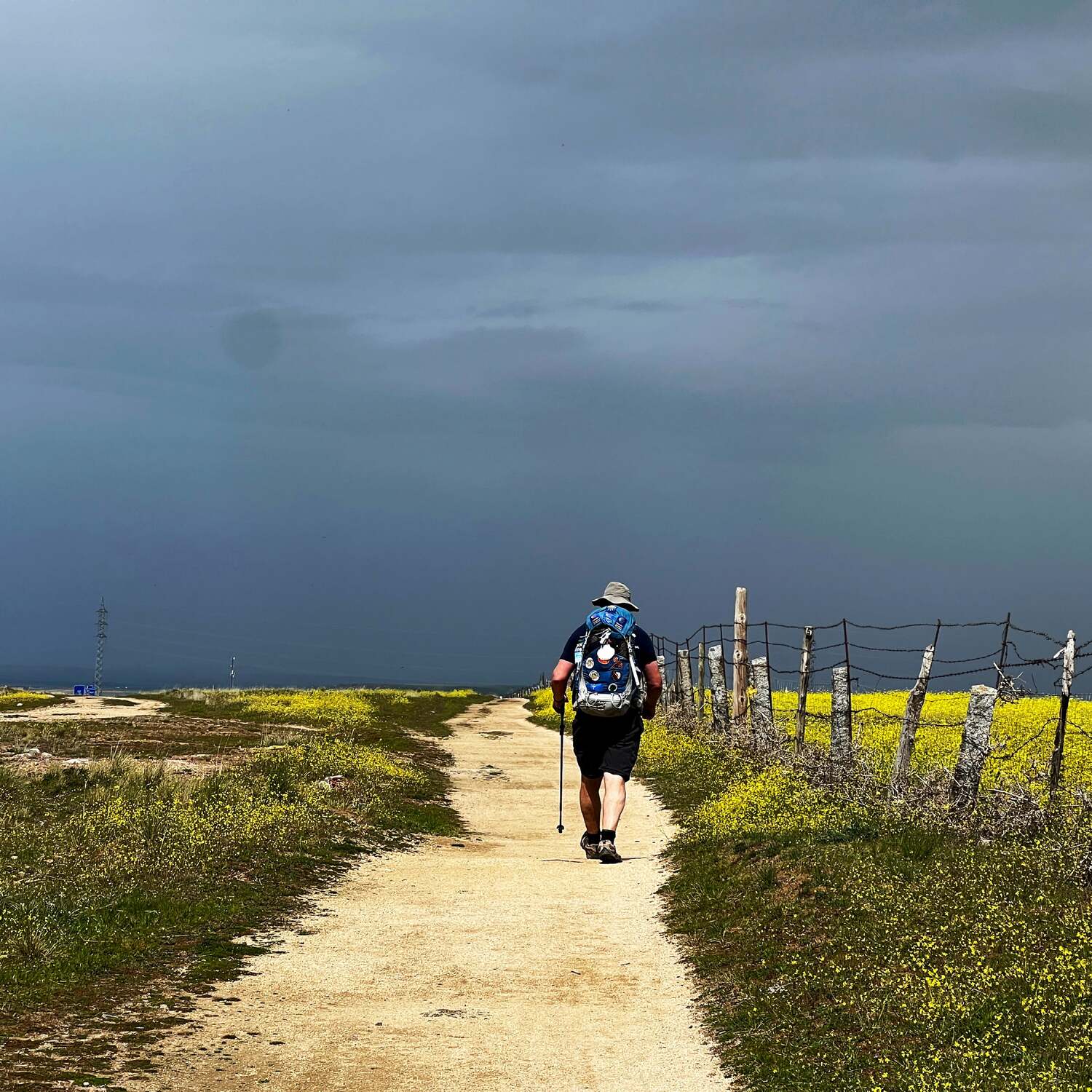 Camino De Madrid