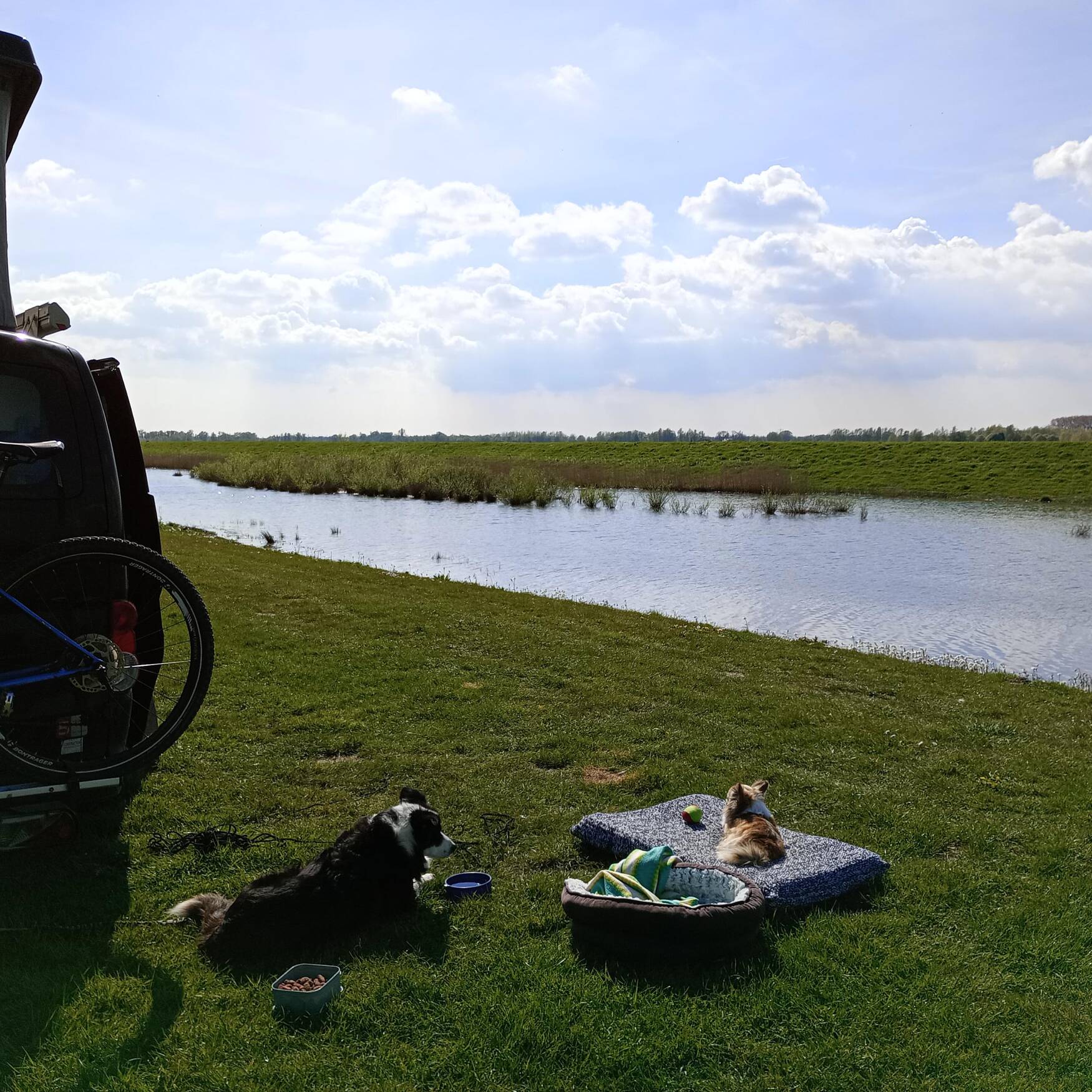 Cycling in Holland