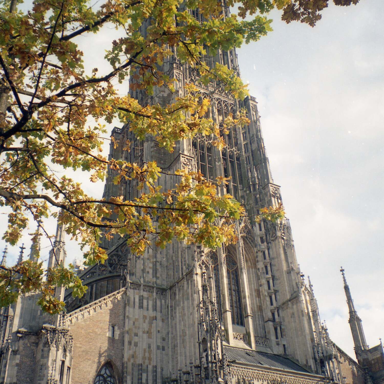 Dienstwoche in Ulm