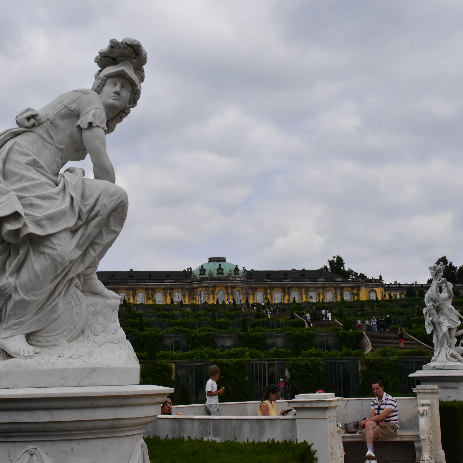 die Füchse in Potsdam
