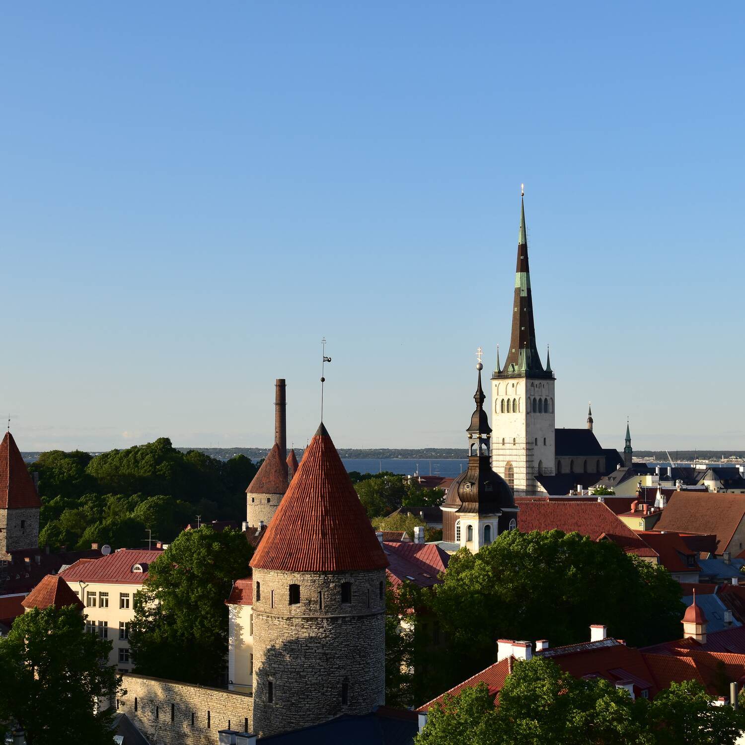 Tallin