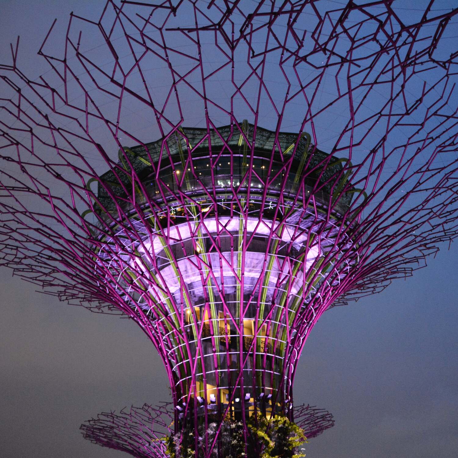 Singapur Angkor Ko Lanta BKK