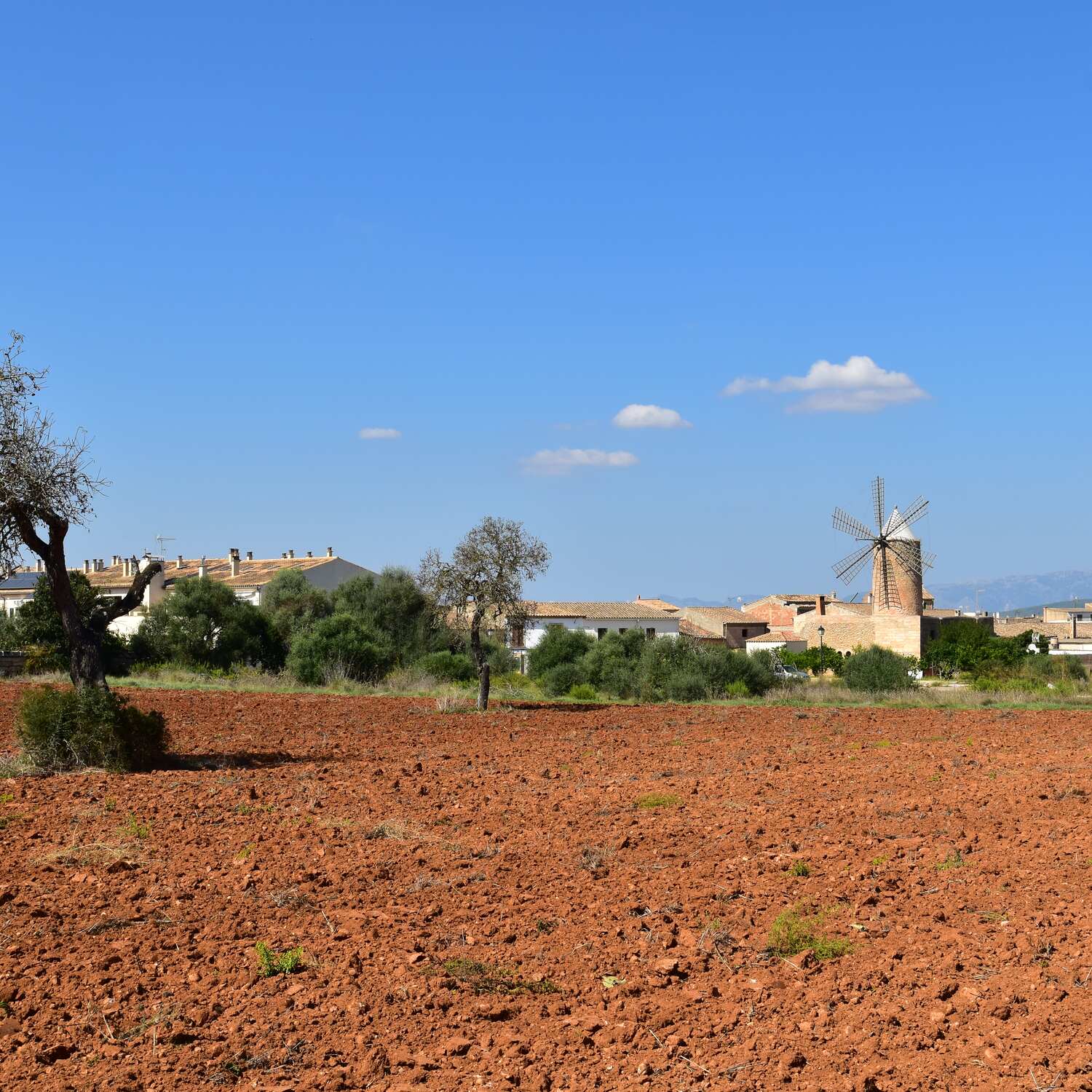 Mallorca - I