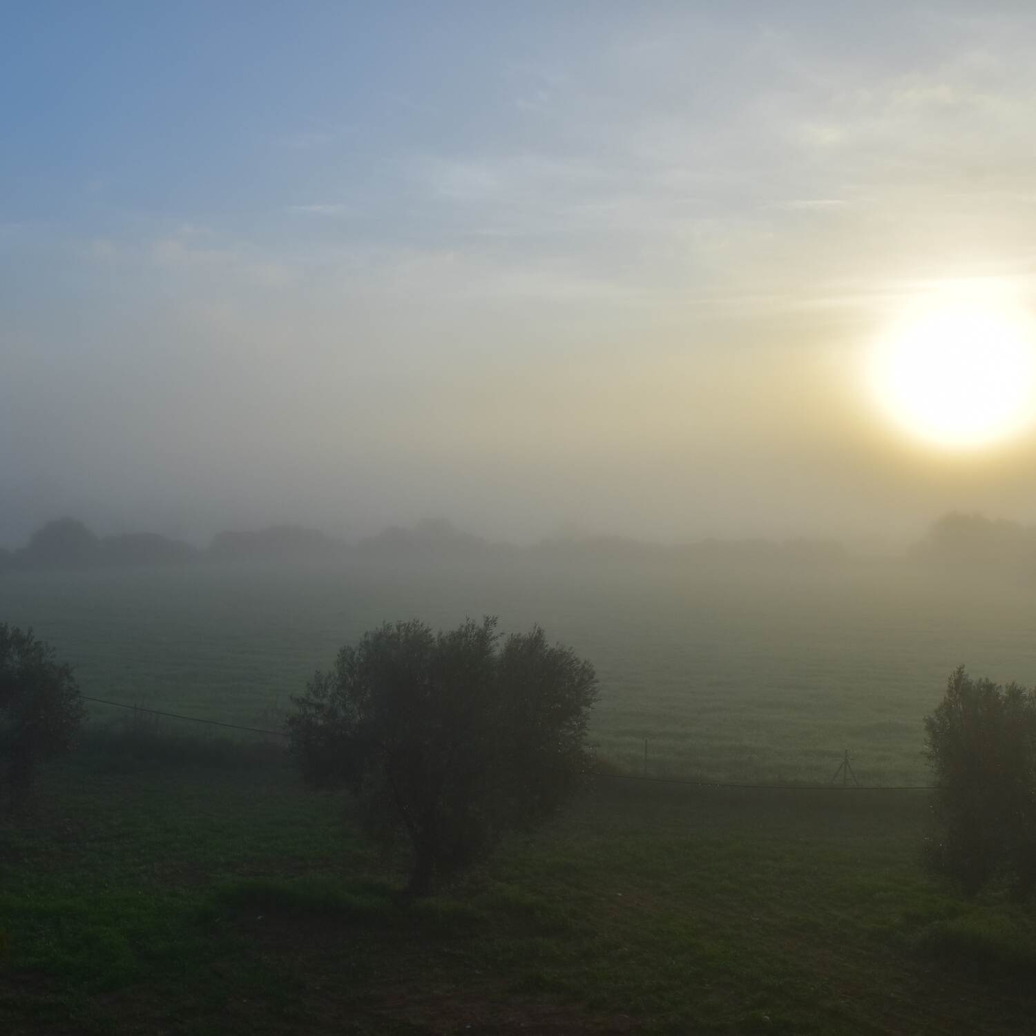 Mallorca IV