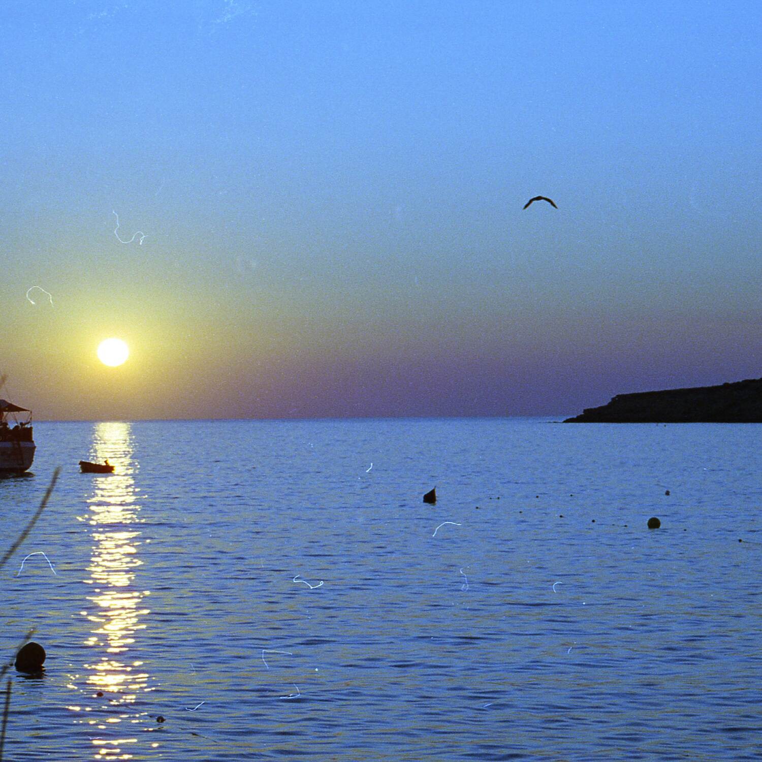 Mädels auf Ibiza