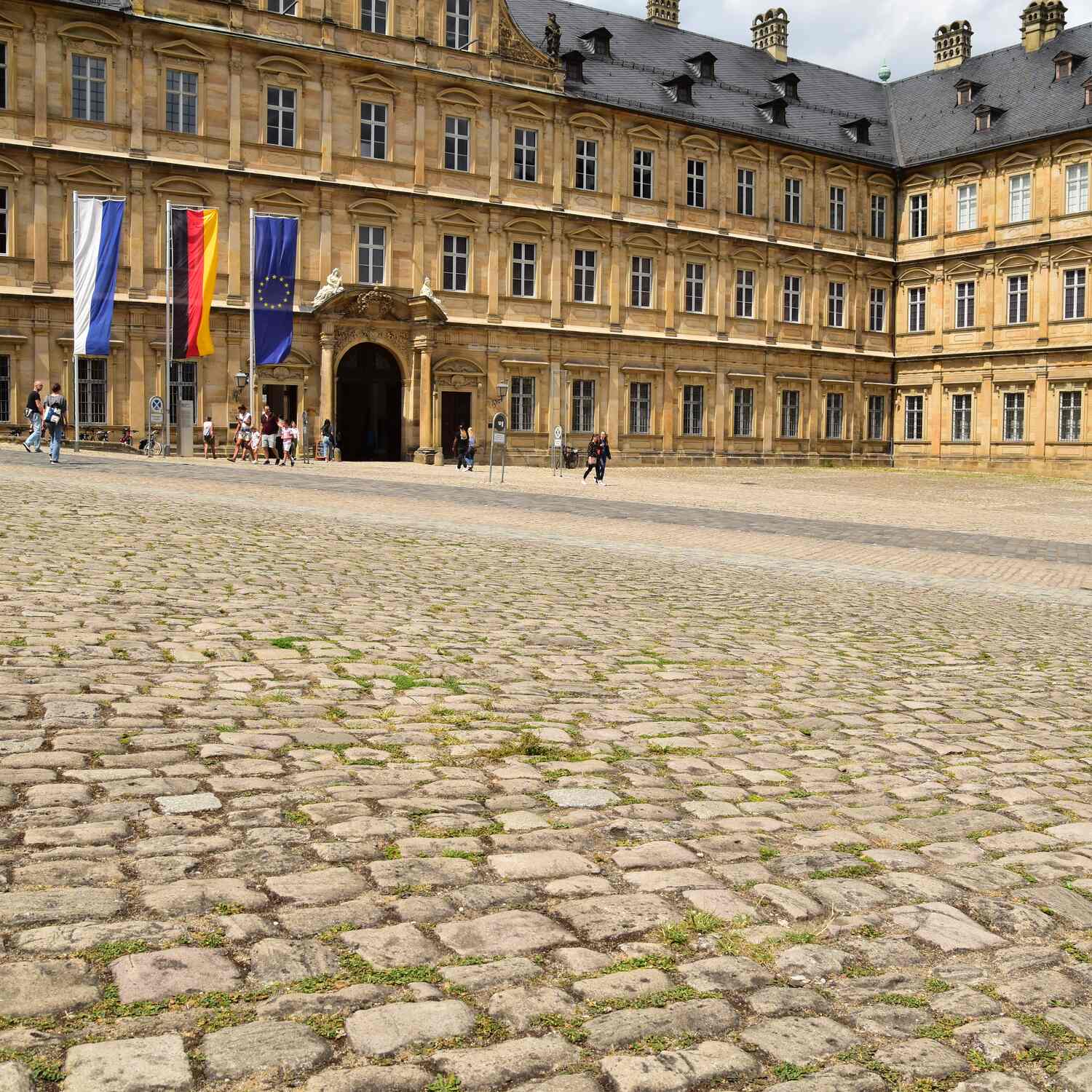 die Füchse in Bamberg