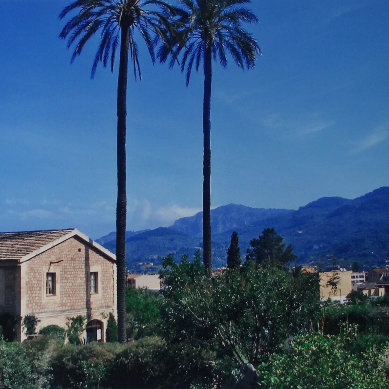 Mädels auf Mallorca