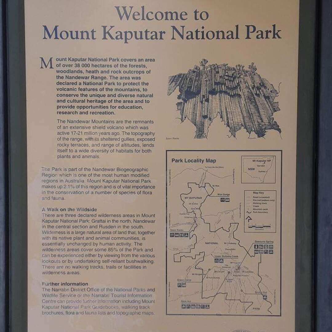 Tassie