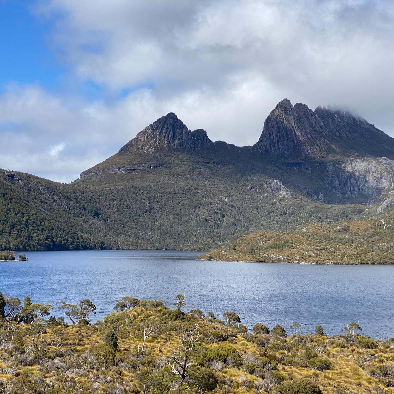 Tassie Spirit