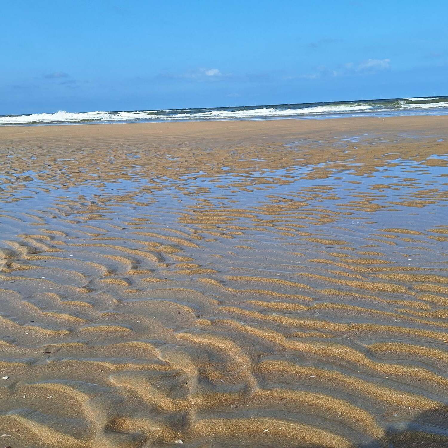 Zandvoort