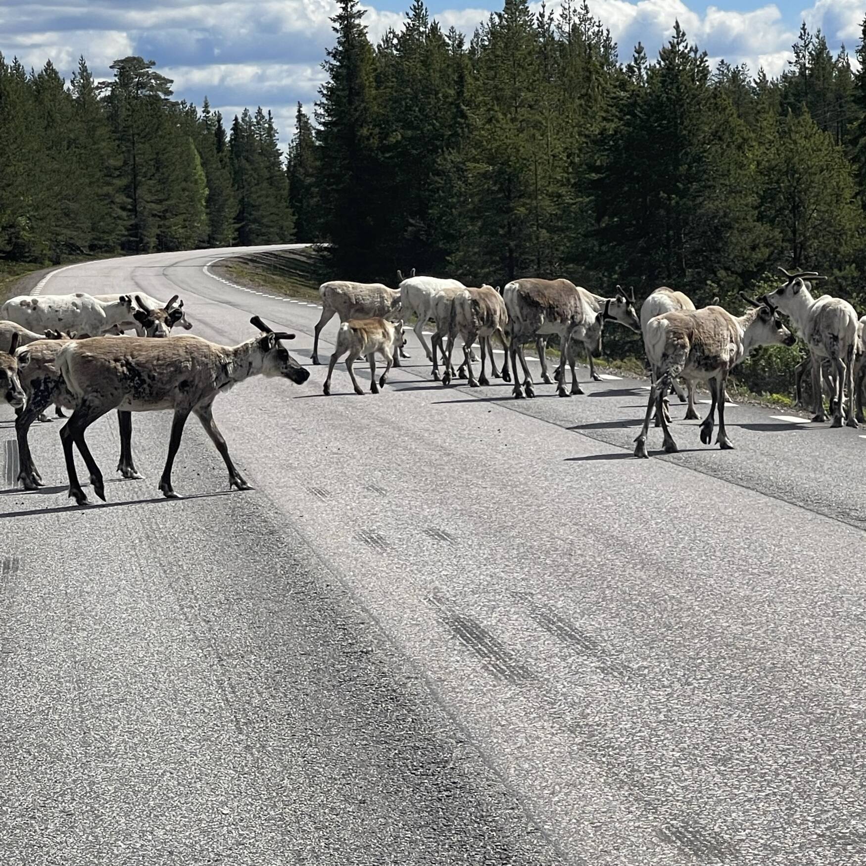 Skandinavien 2022