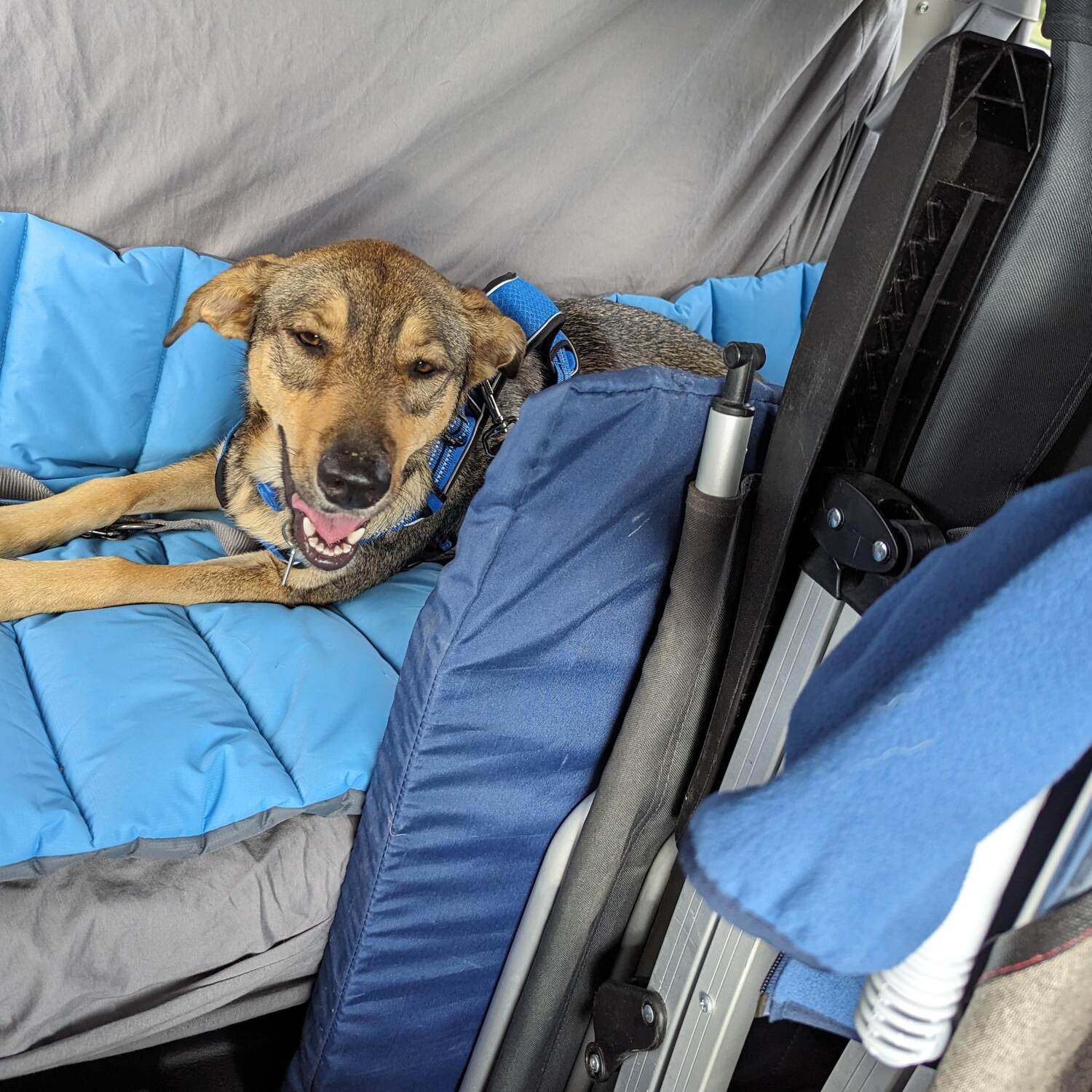 Roadtrip 🇫🇷🇵🇹🇪🇸