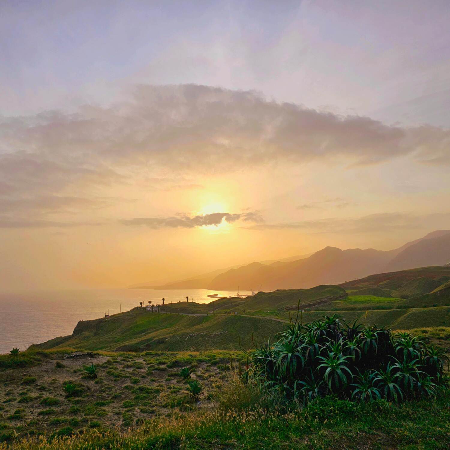 Madeira 2024/2025