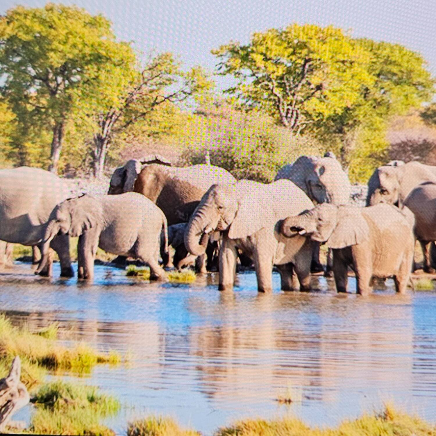 Namibia, Botswana, Südafrika