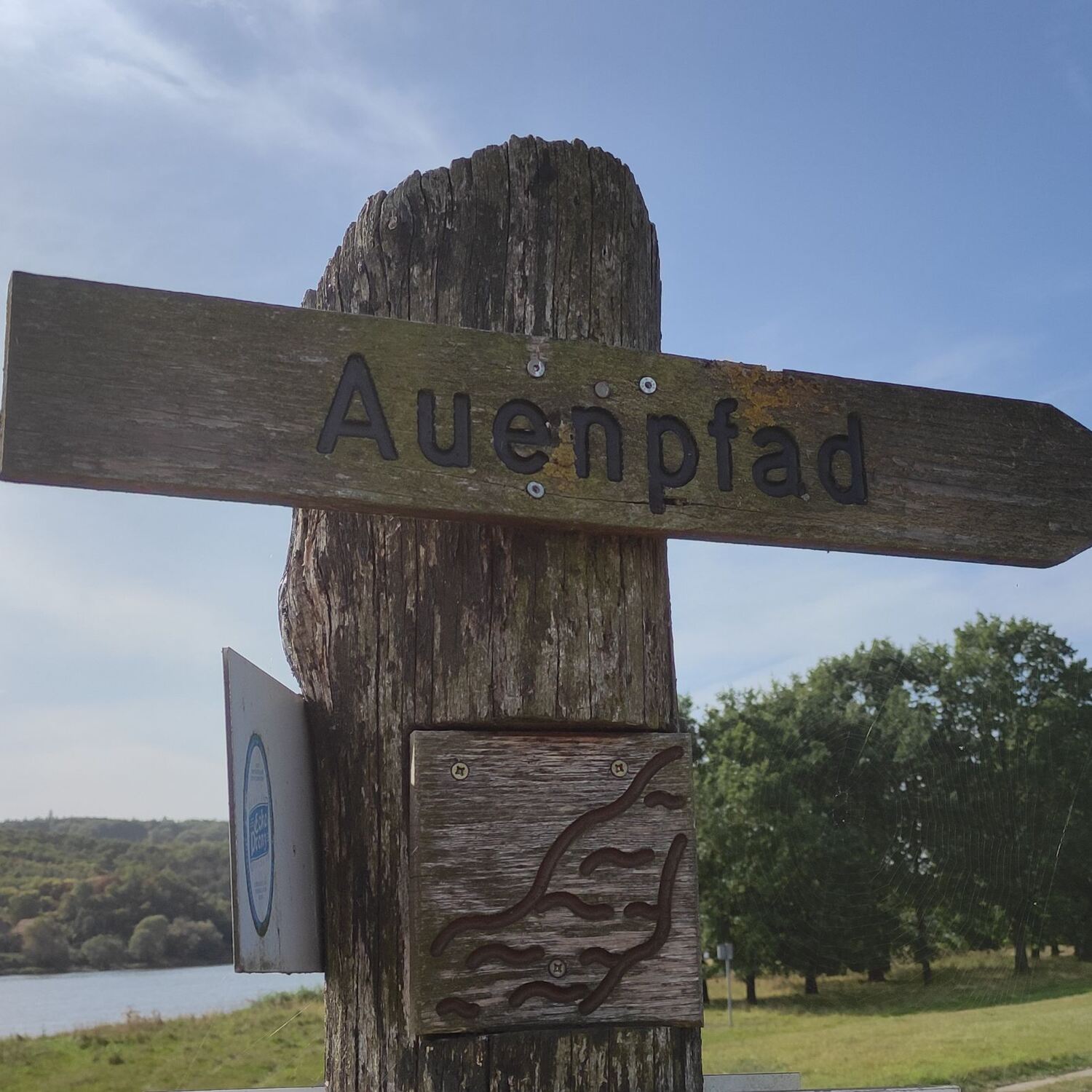 Wochenende im Oderbruch bei Sc