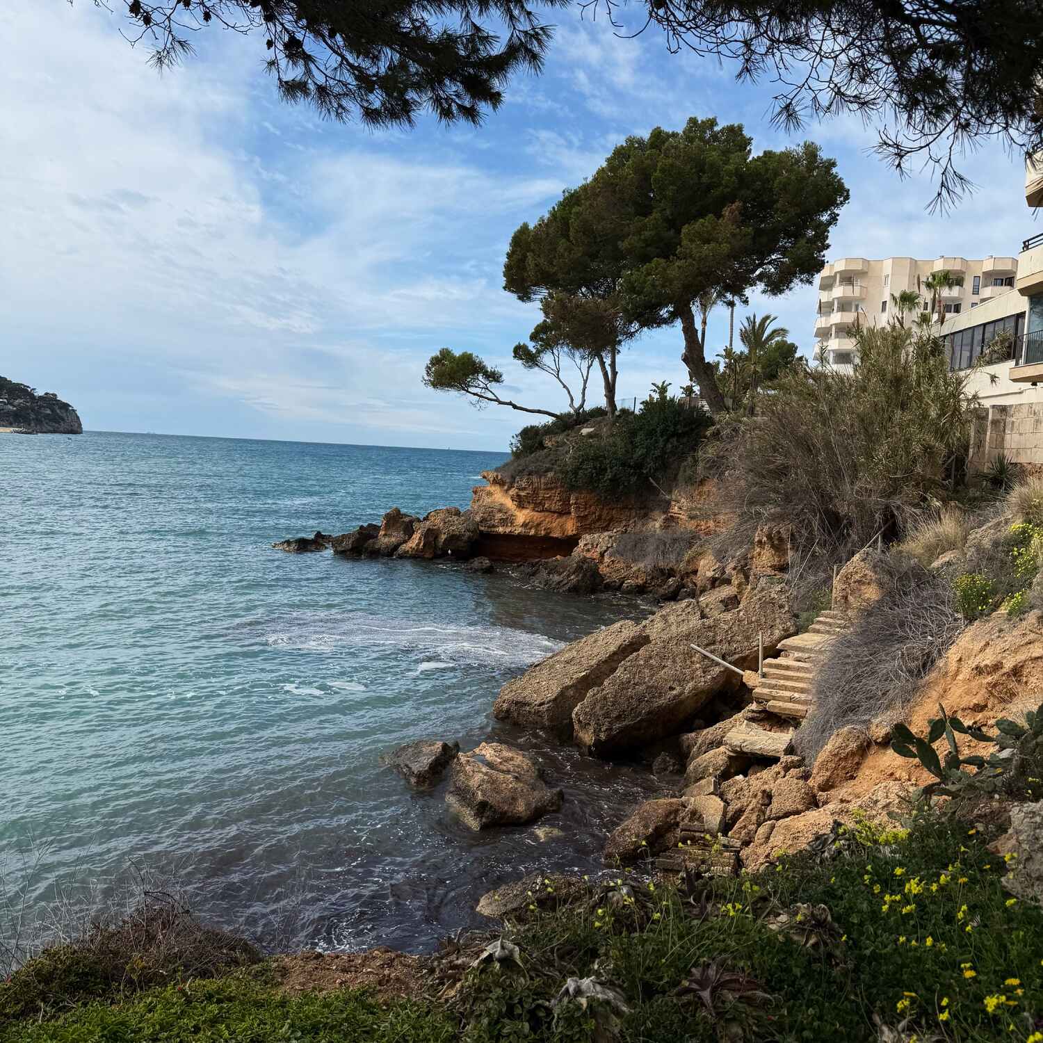 Mallorca im Frühling
