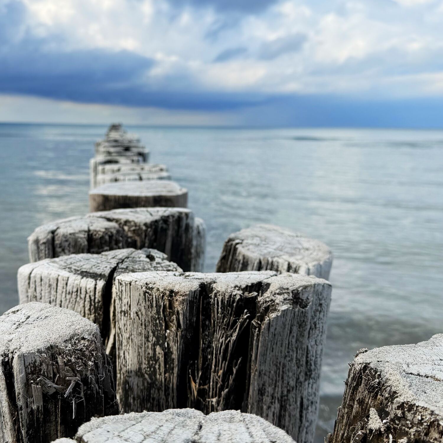 Zingst weil es so schön ist