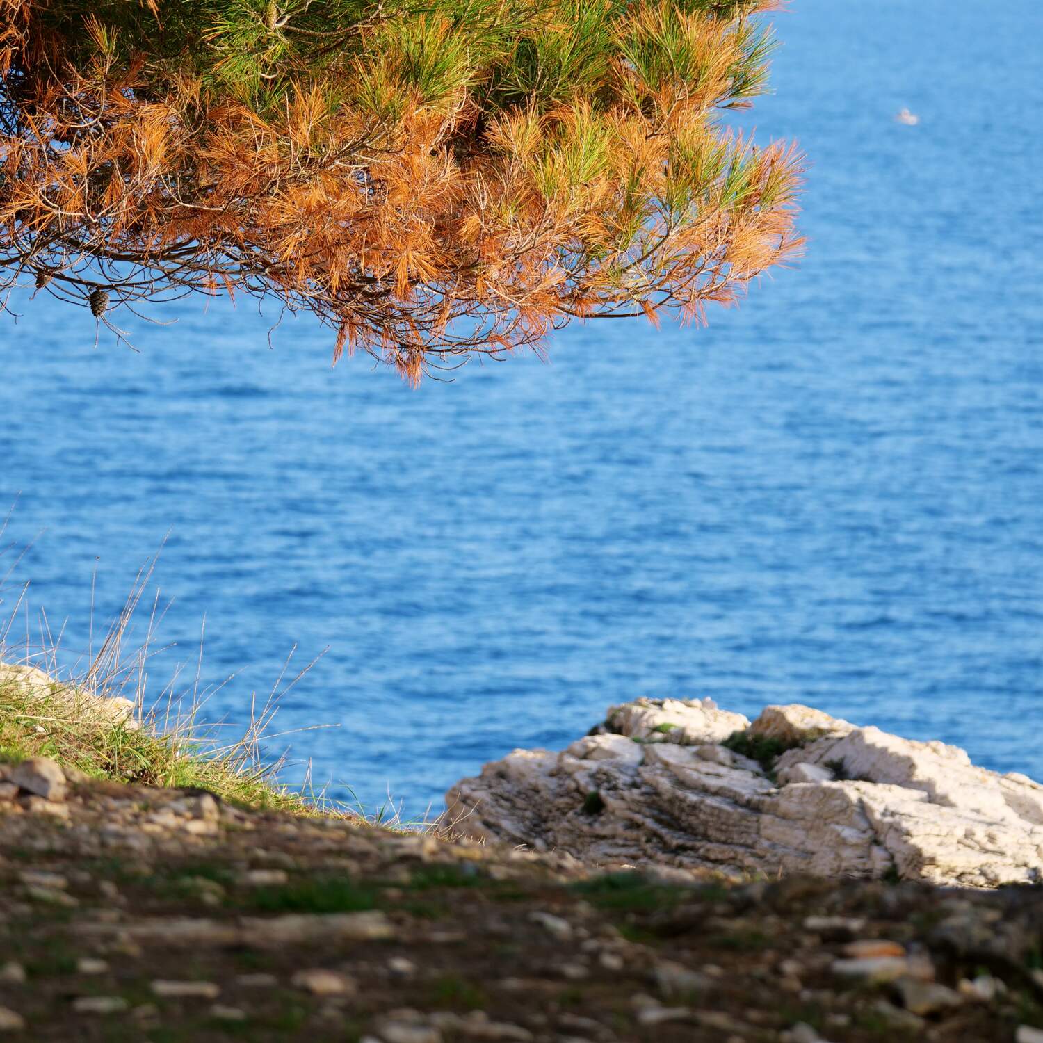 Kroatien