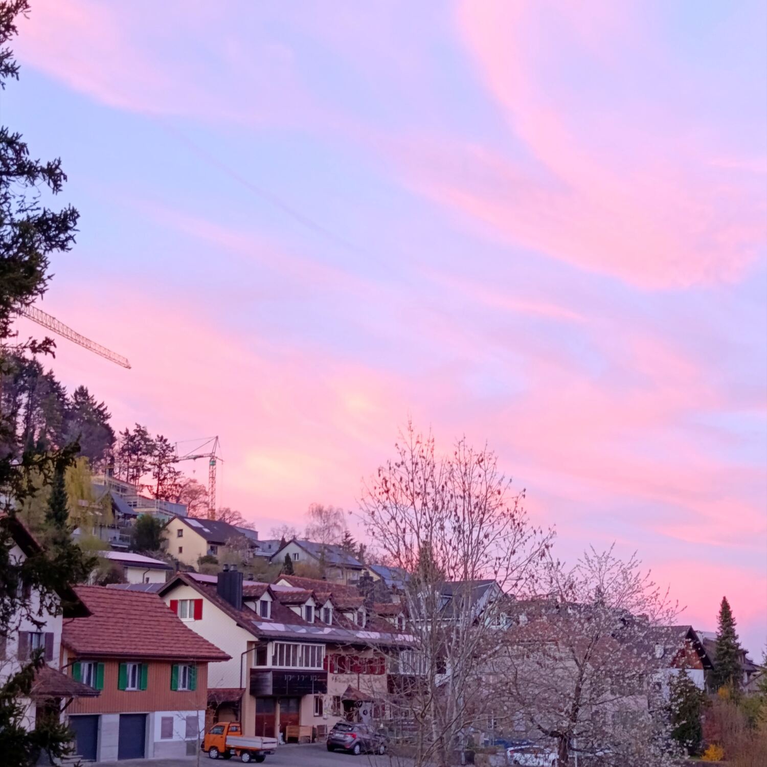 Vivir en la suiza... II