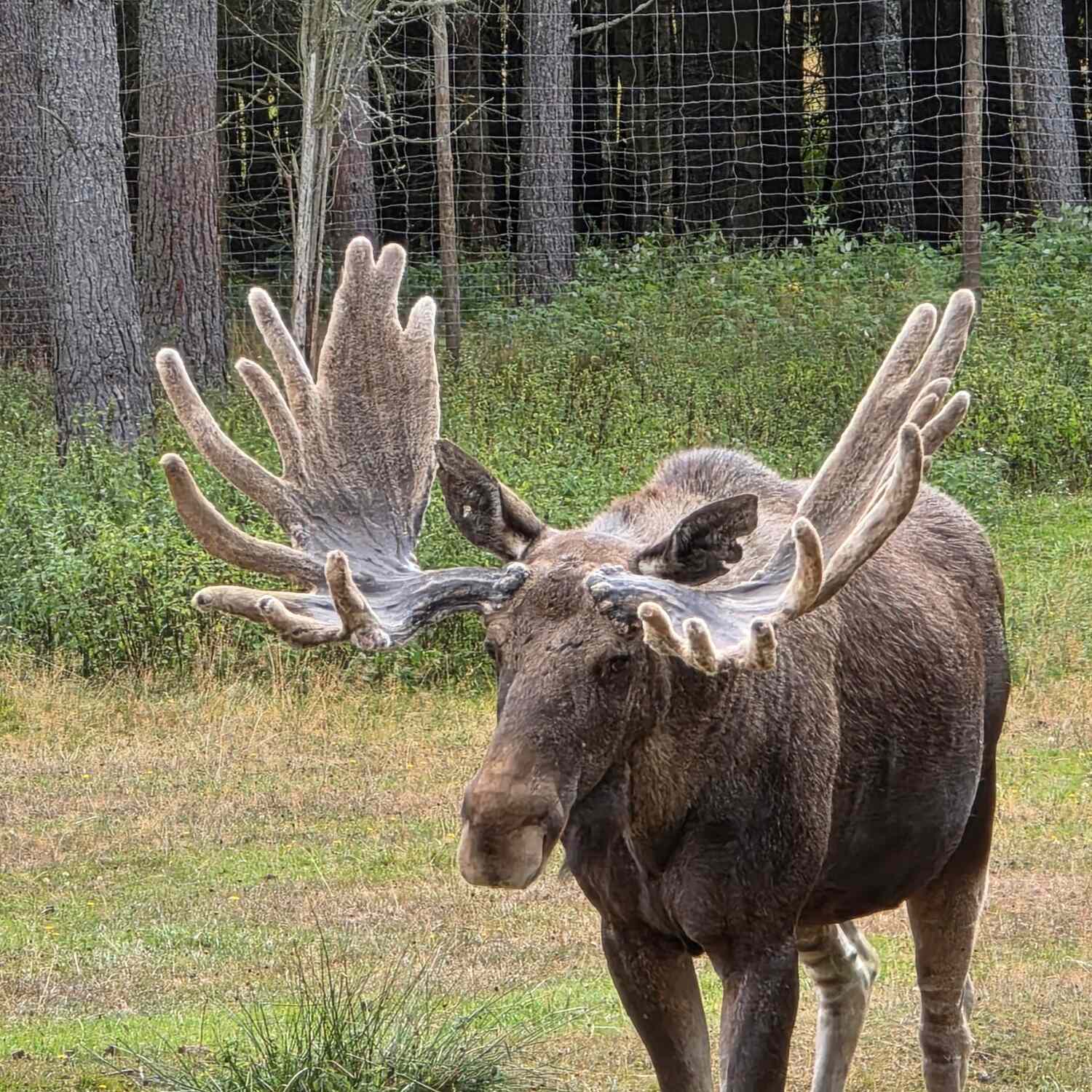 Andrea & Jürgen: Schweden