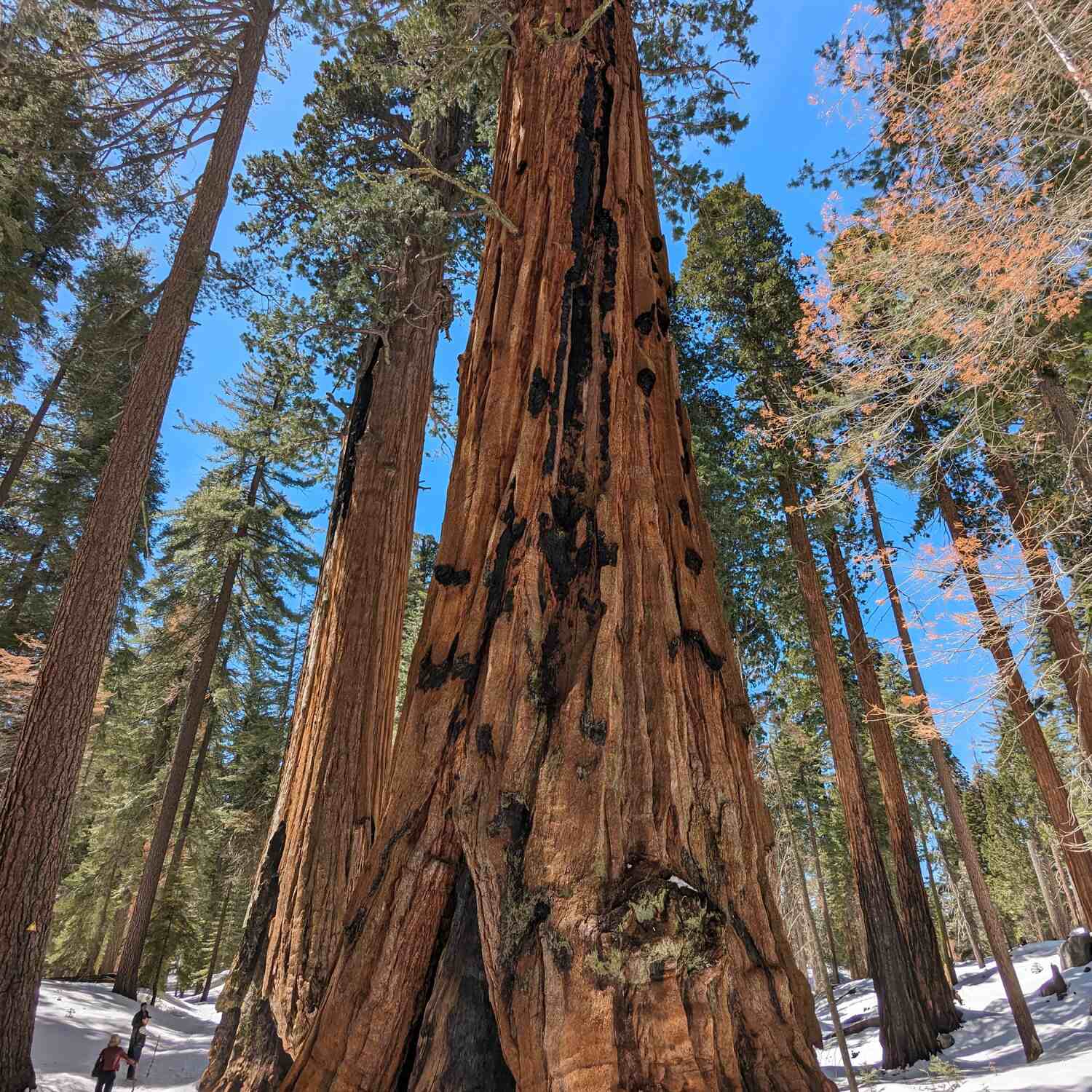 A l'Ouest, le vrai ...