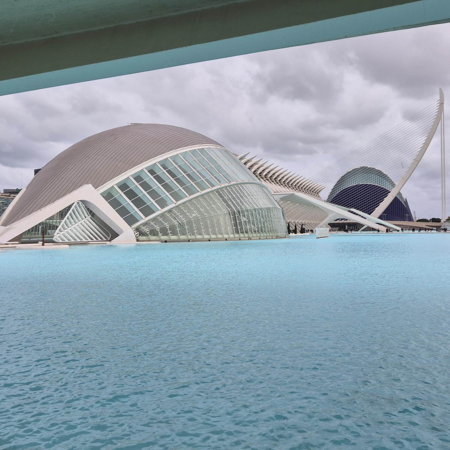 Alicante 25