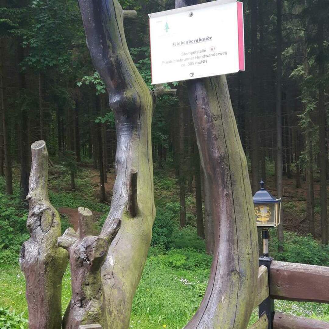 Ich liebe Ausflüge
