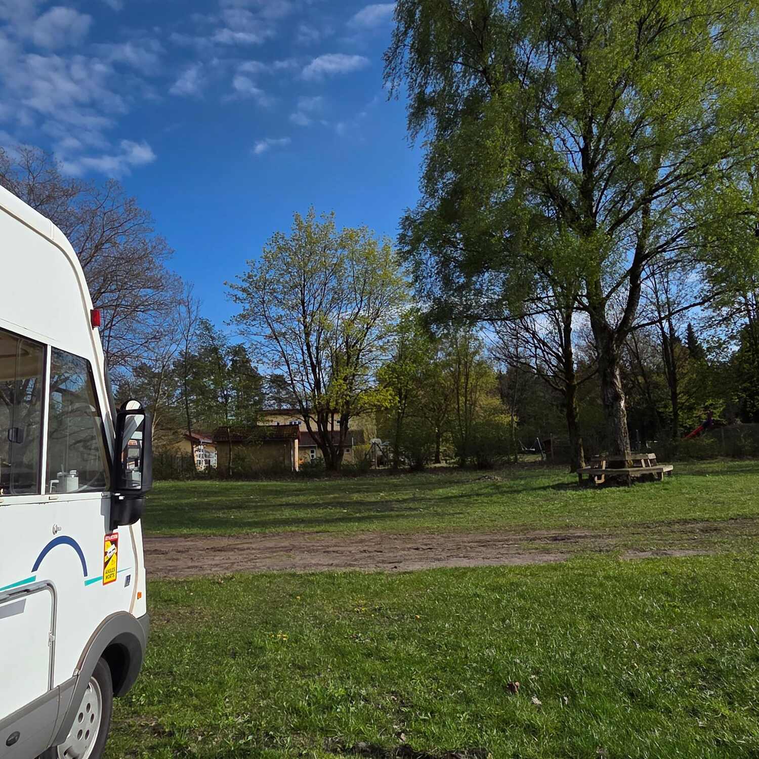 Südheide im Frühjahr