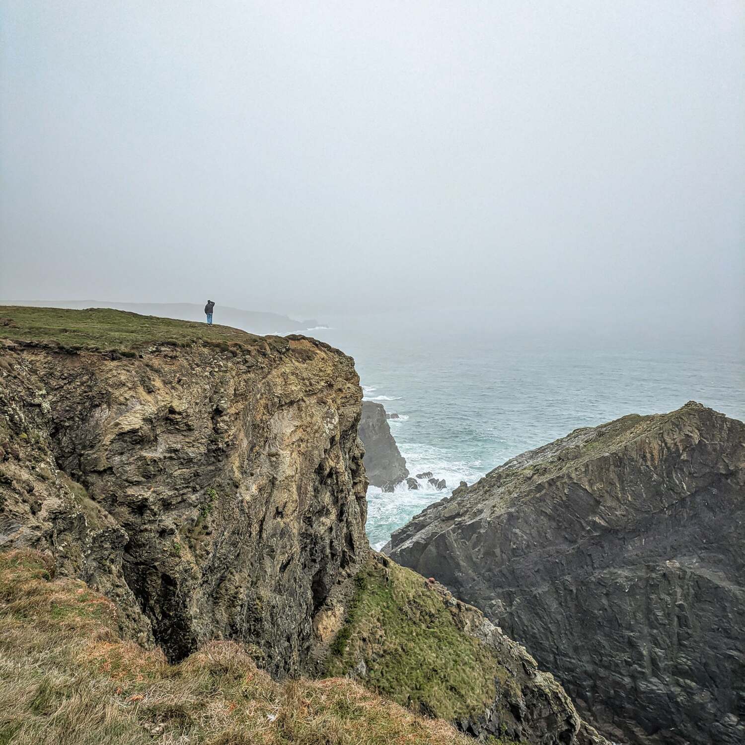 House-sitting in England
