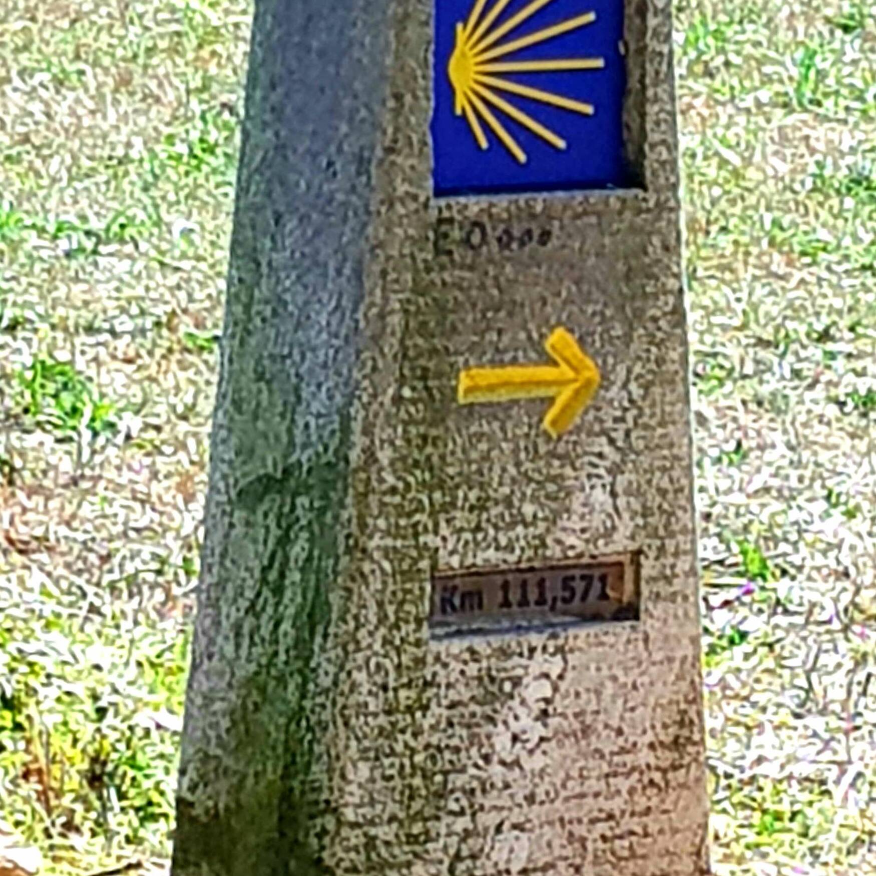 Carl & Hollie's Camino