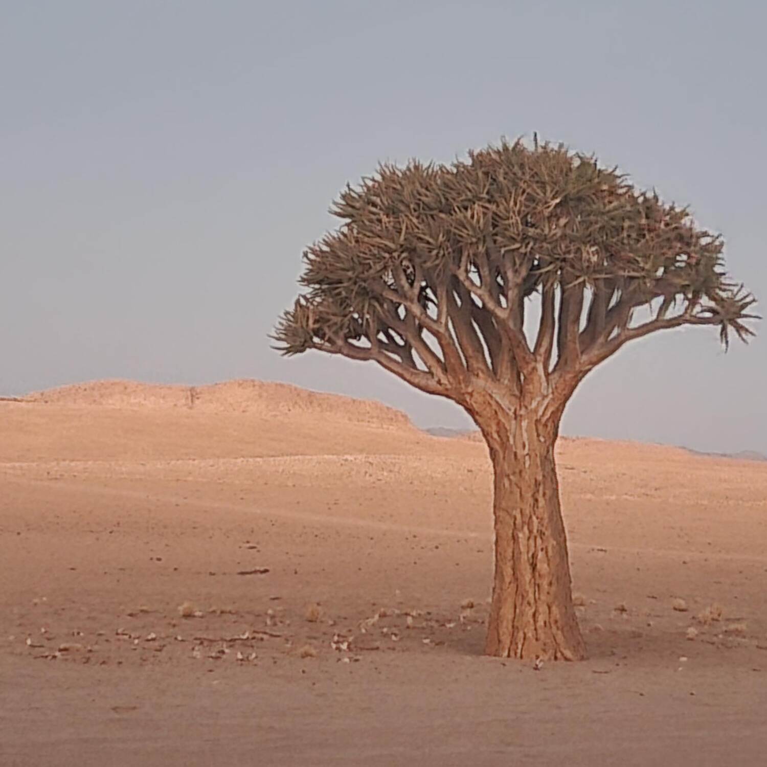 Namibia Richtung Osten