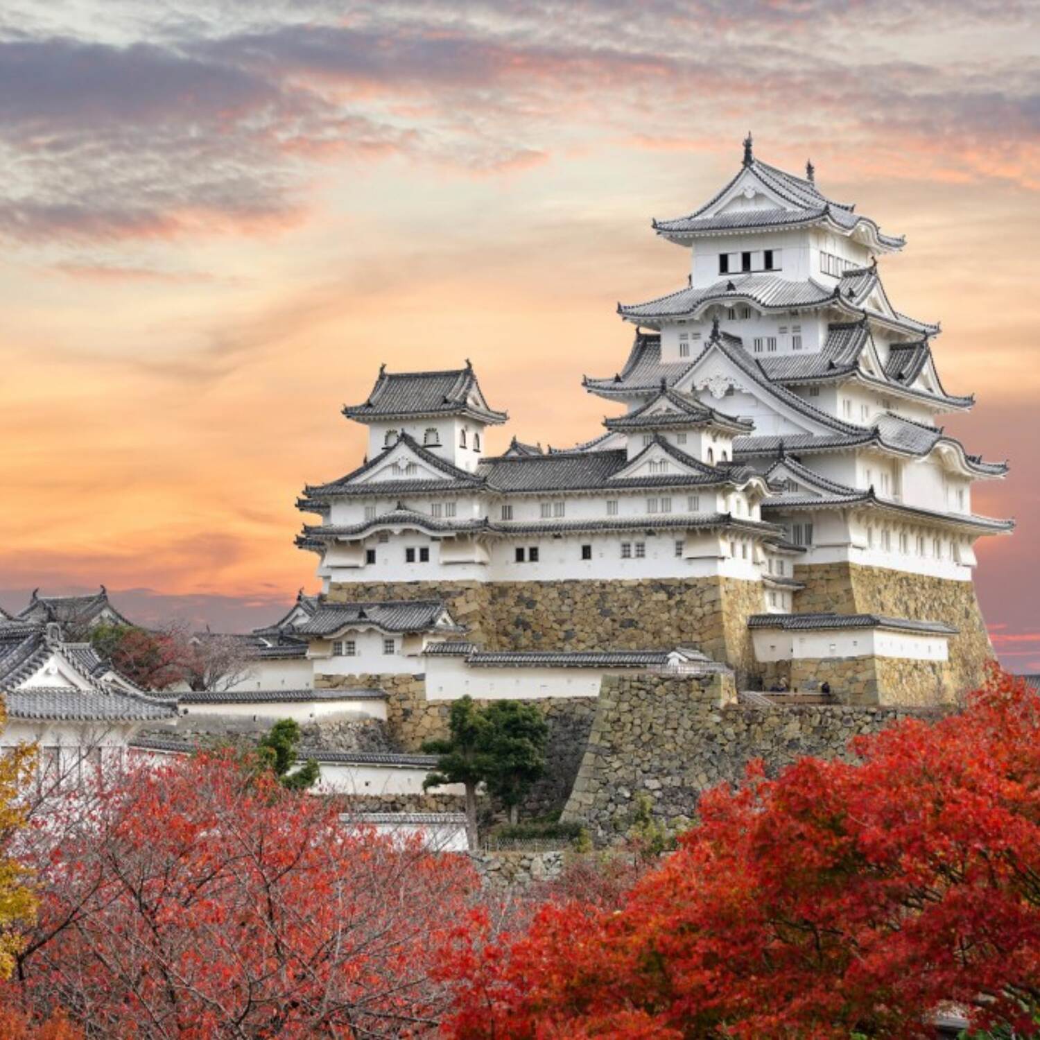 Japan 24