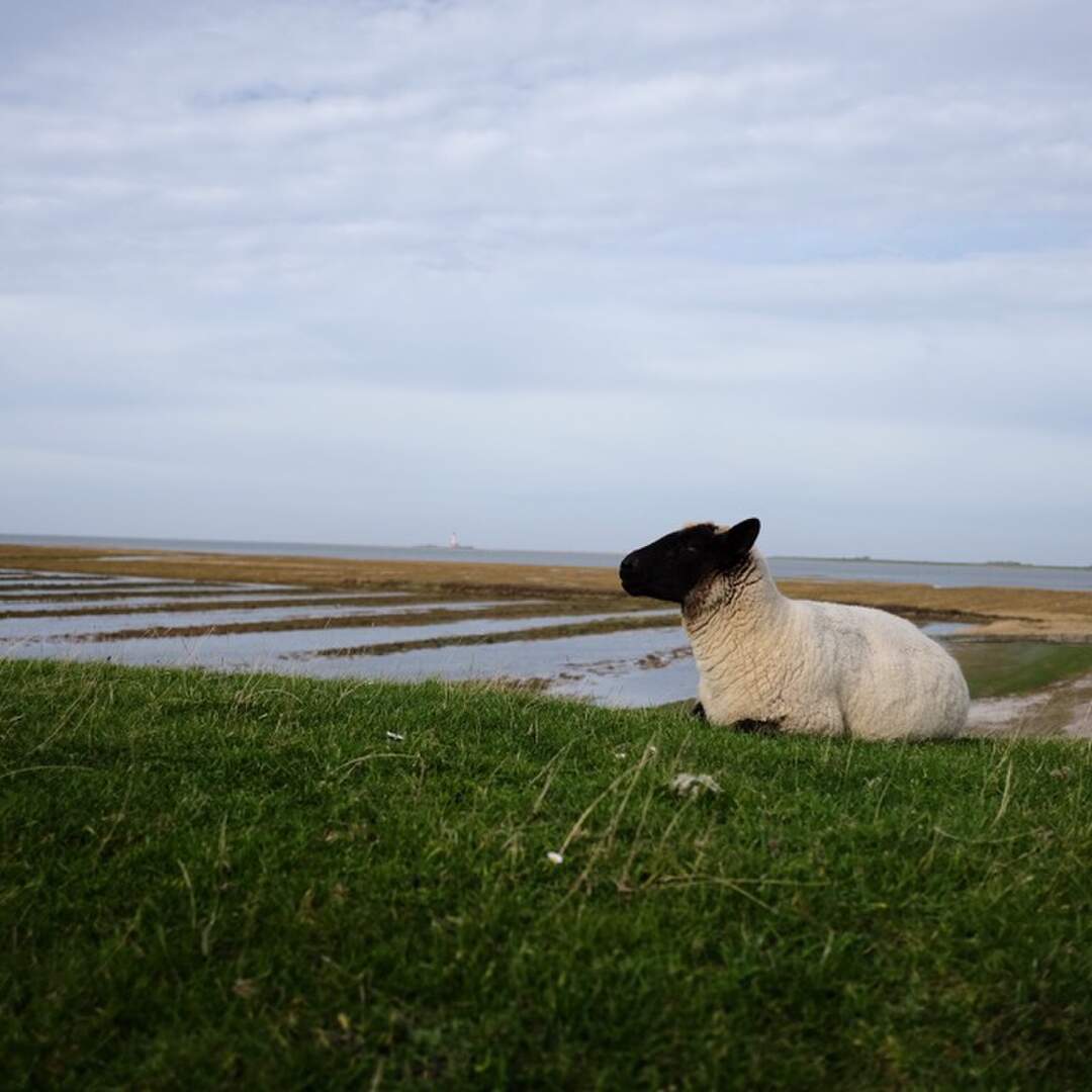 Nordsee