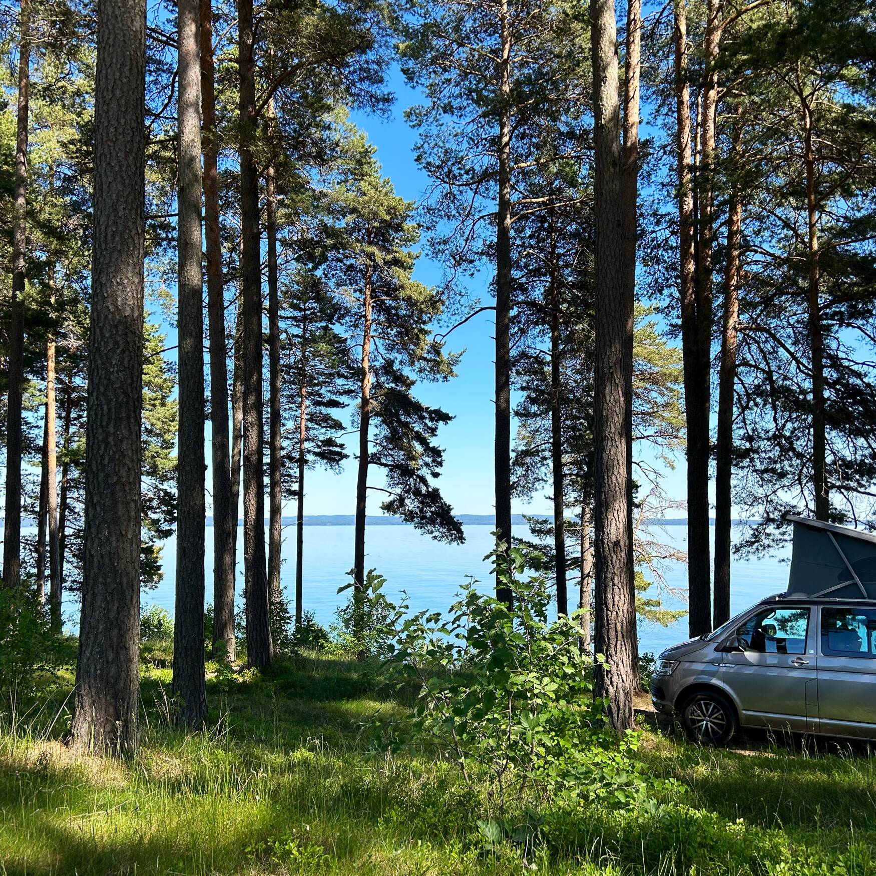 Schweden 🇸🇪-Finnland🇫🇮