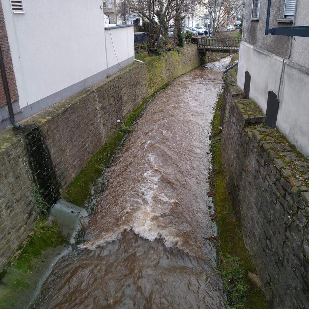 Euskirchen nach Bonn