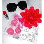 PinkLipsticknPassport