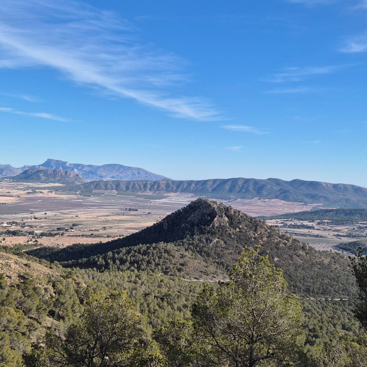 Spanien / Frankreich 2025/2026