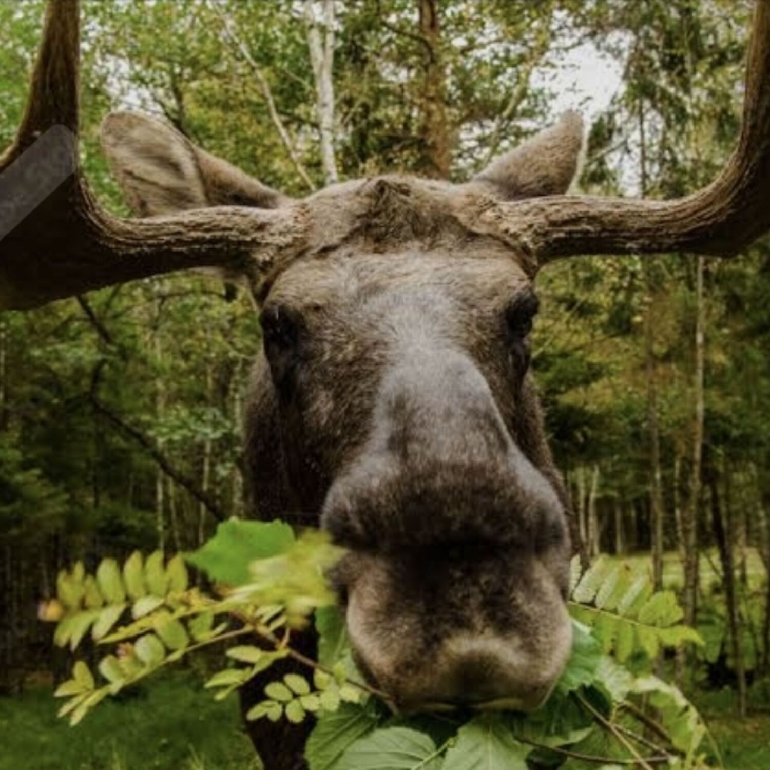 Schweden / Norwegen